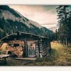 Hunt Cabin in the Meadow