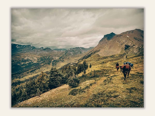 Horse Packing through the Mountains